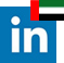United Arab Emirates LinkedIn Icon